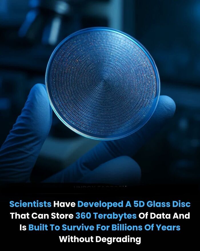 If You Like Learning About New Things, You Might Enjoy These 73 Facts If You Like Learning About New Things, You Might Enjoy These 73 Facts