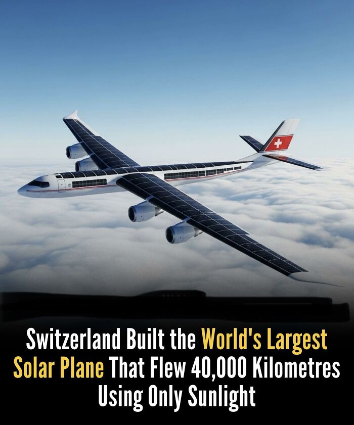 If You Like Learning About New Things, You Might Enjoy These 73 Facts If You Like Learning About New Things, You Might Enjoy These 73 Facts