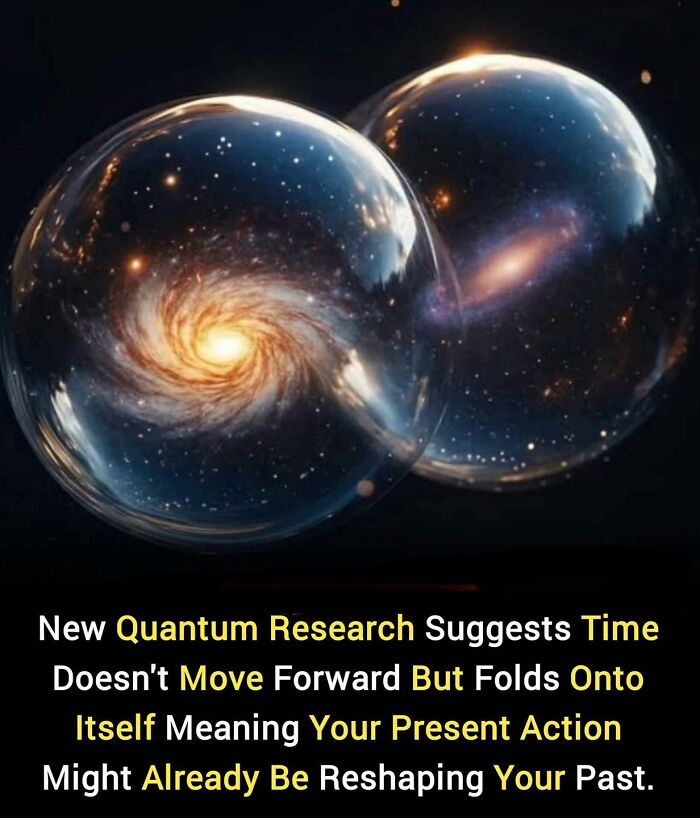 If You Like Learning About New Things, You Might Enjoy These 73 Facts If You Like Learning About New Things, You Might Enjoy These 73 Facts