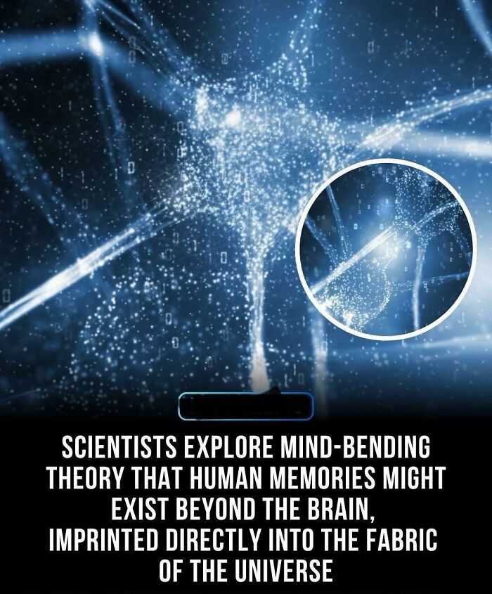 If You Like Learning About New Things, You Might Enjoy These 73 Facts If You Like Learning About New Things, You Might Enjoy These 73 Facts