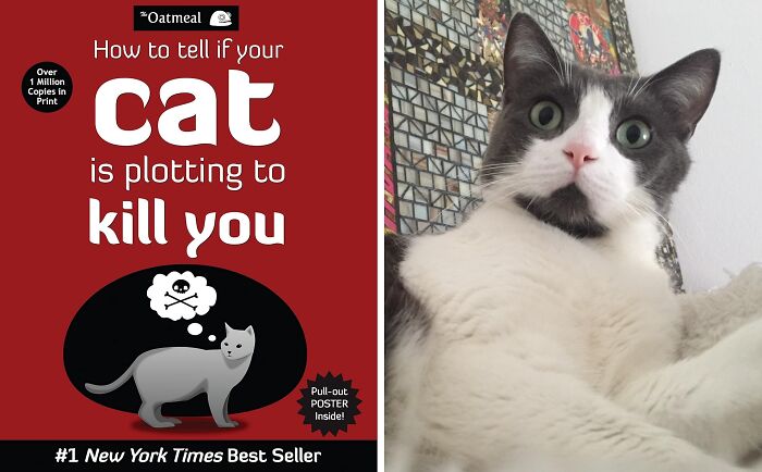 Judging A Book By Its Cover Is Highly Encouraged For These 21 Titles Judging A Book By Its Cover Is Highly Encouraged For These 21 Titles