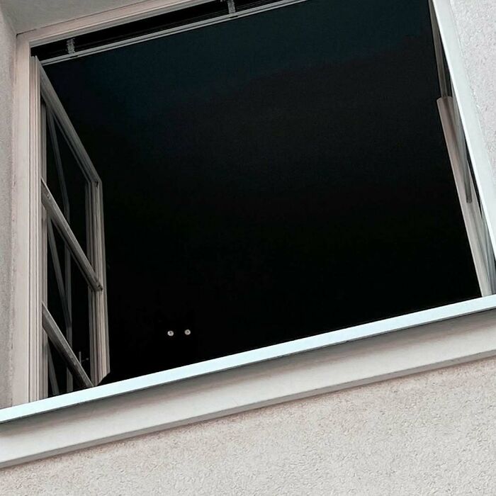 80 Times People’s Days Were Made By Kitties Sitting By The Window (New Pics) 80 Times People’s Days Were Made By Kitties Sitting By The Window (New Pics)