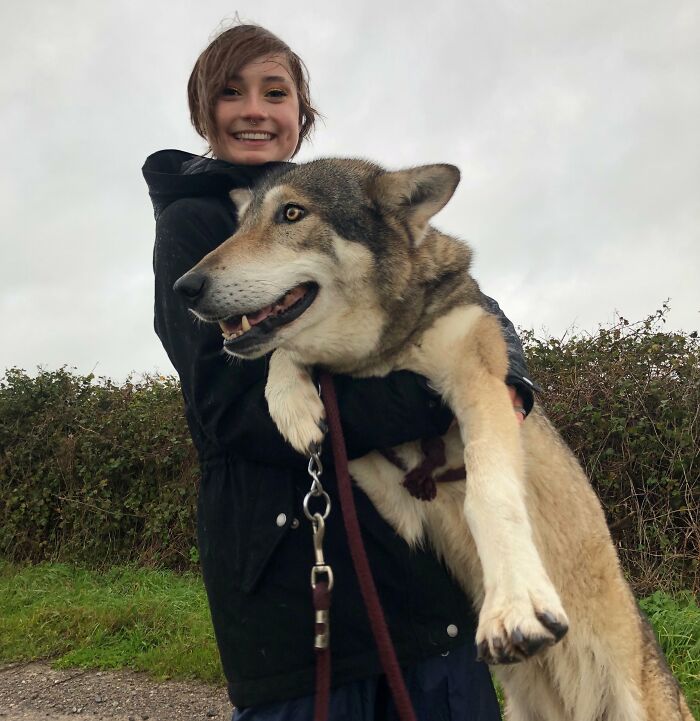 115 Times People Turned Their Big And Small Dreams Into Reality And Inspired The Internet 115 Times People Turned Their Big And Small Dreams Into Reality And Inspired The Internet