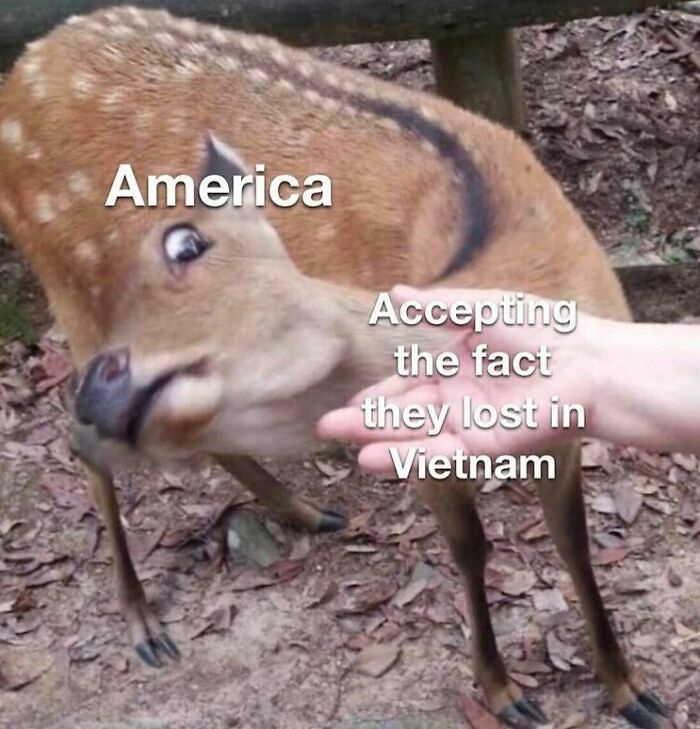 You Might Learn A Thing Or Two From These 65 Hilarious History Memes You Might Learn A Thing Or Two From These 65 Hilarious History Memes