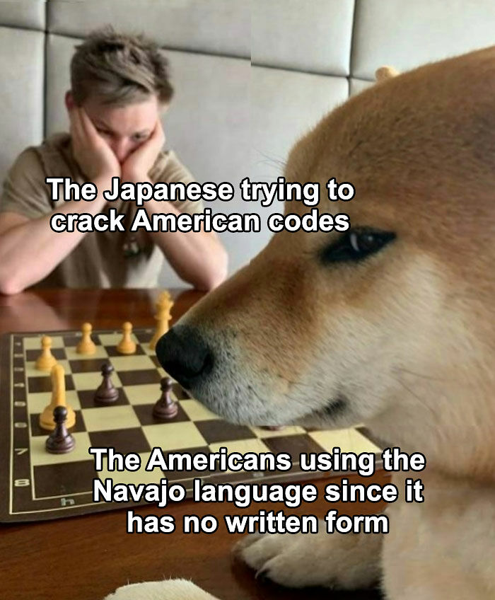 You Might Learn A Thing Or Two From These 65 Hilarious History Memes You Might Learn A Thing Or Two From These 65 Hilarious History Memes