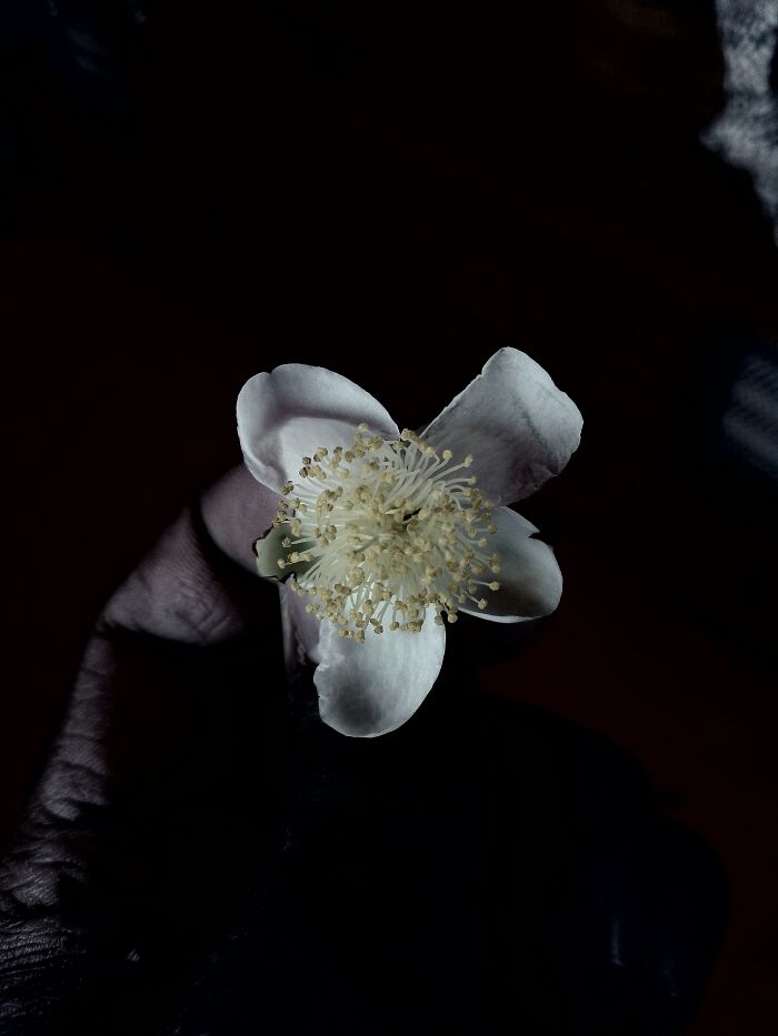 My 20 Black And White Photographs To Explore Independent Photography My 20 Black And White Photographs To Explore Independent Photography