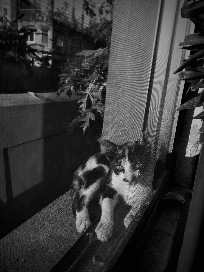 My 20 Black And White Photographs To Explore Independent Photography My 20 Black And White Photographs To Explore Independent Photography