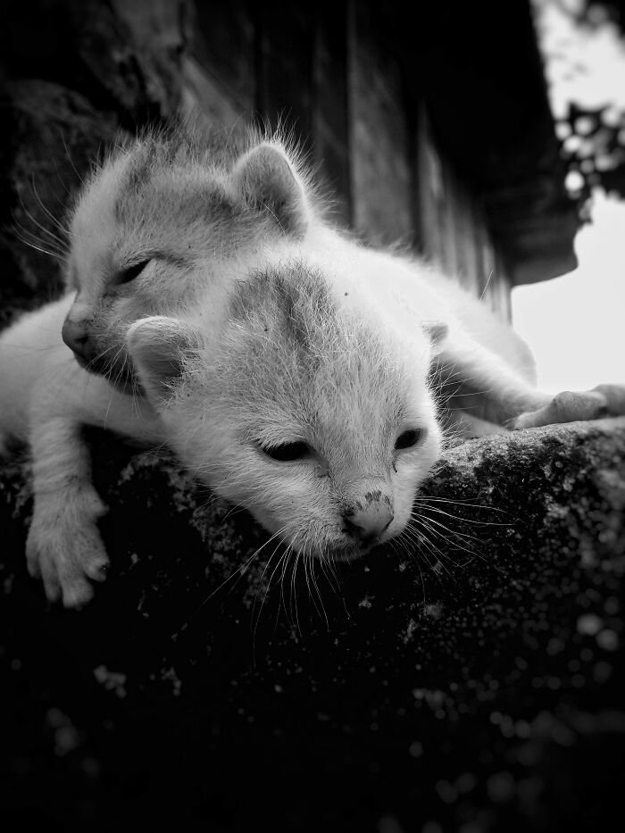 My 20 Black And White Photographs To Explore Independent Photography My 20 Black And White Photographs To Explore Independent Photography