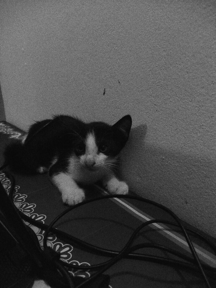 My 20 Black And White Photographs To Explore Independent Photography My 20 Black And White Photographs To Explore Independent Photography