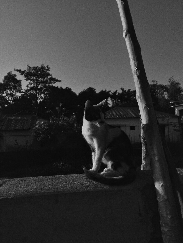 My 20 Black And White Photographs To Explore Independent Photography My 20 Black And White Photographs To Explore Independent Photography