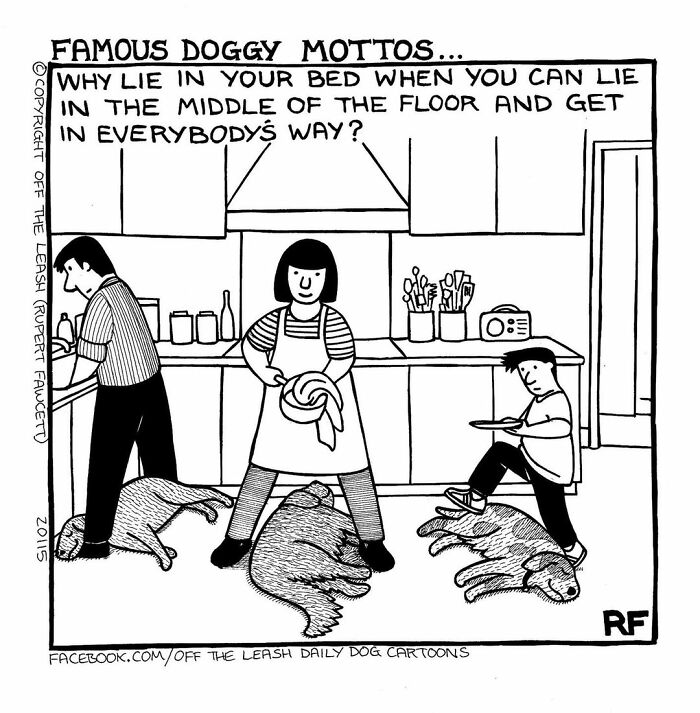 Living With Dogs Summed Up In 32 New Comics By “Off The Leash” Living With Dogs Summed Up In 32 New Comics By “Off The Leash”