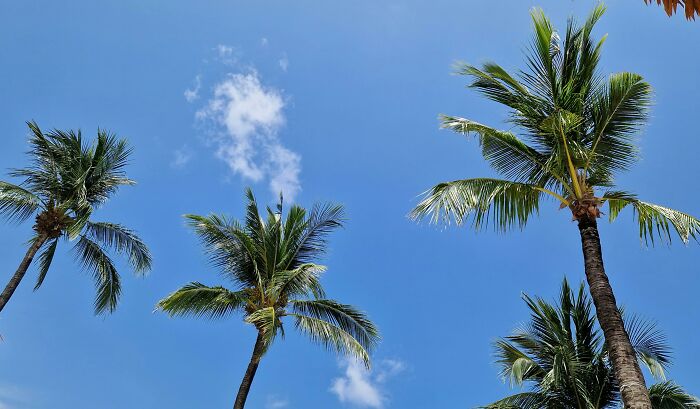 “So Petty. So Worth It”: 42 Times People Took Brutal Revenge On An Ex With Zero Regrets “So Petty. So Worth It”: 42 Times People Took Brutal Revenge On An Ex With Zero Regrets