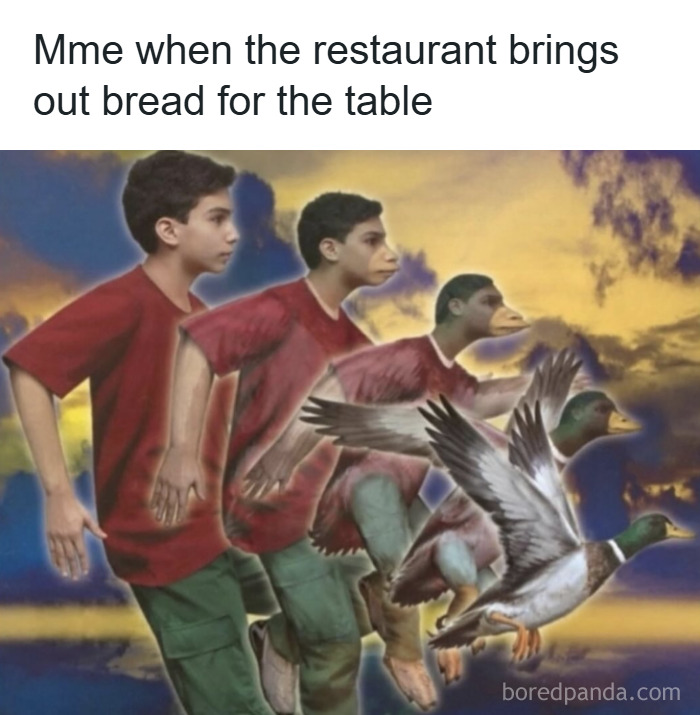 59 Funny Yet Unhinged Memes That We Can’t Explain 59 Funny Yet Unhinged Memes That We Can’t Explain