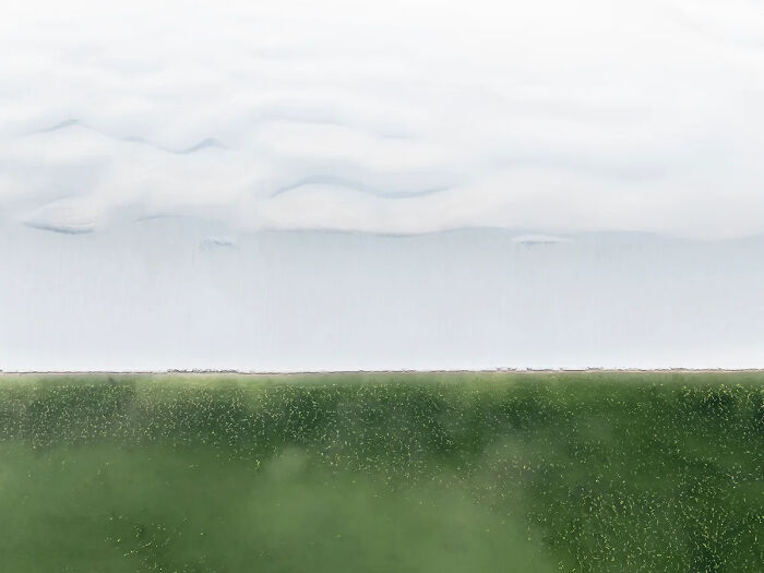 Best Nature Photography Of 2025: International Photo Awards Winners Best Nature Photography Of 2025: International Photo Awards Winners