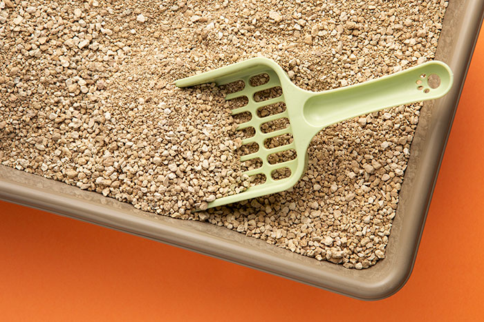 Men Didn’t Want To Have Anything In Common With Women Who Did These 55 Unhinged Things Men Didn’t Want To Have Anything In Common With Women Who Did These 55 Unhinged Things