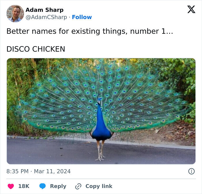 53 Funny And Cute Animal Memes To Bring Some Positivity To Your Day 53 Funny And Cute Animal Memes To Bring Some Positivity To Your Day