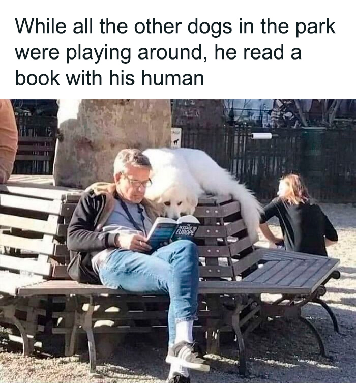 53 Funny And Cute Animal Memes To Bring Some Positivity To Your Day 53 Funny And Cute Animal Memes To Bring Some Positivity To Your Day