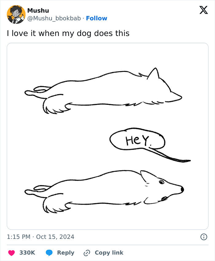 53 Funny And Cute Animal Memes To Bring Some Positivity To Your Day 53 Funny And Cute Animal Memes To Bring Some Positivity To Your Day