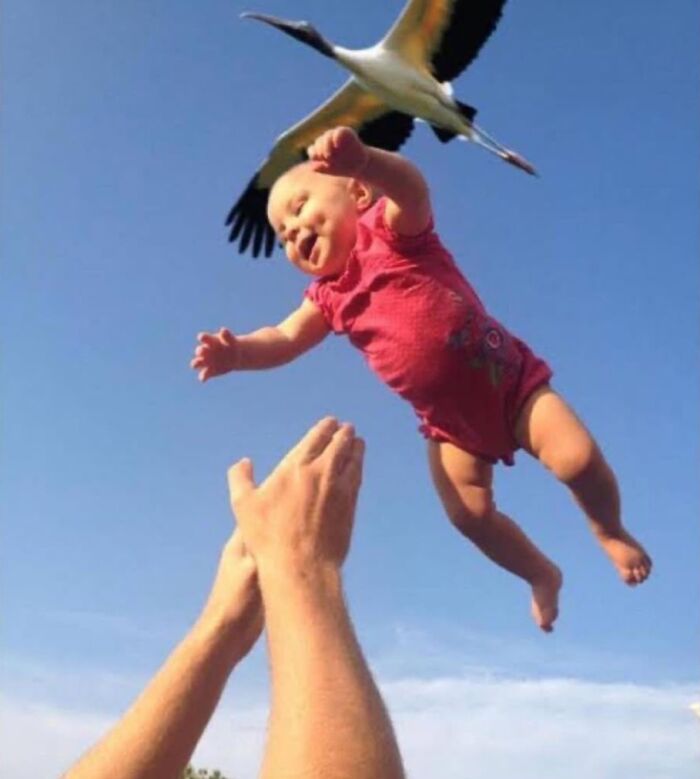 53 Funny And Cute Animal Memes To Bring Some Positivity To Your Day 53 Funny And Cute Animal Memes To Bring Some Positivity To Your Day