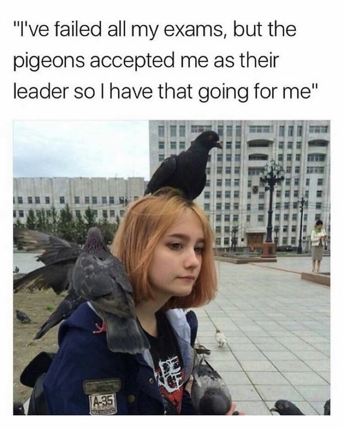 53 Funny And Cute Animal Memes To Bring Some Positivity To Your Day 53 Funny And Cute Animal Memes To Bring Some Positivity To Your Day