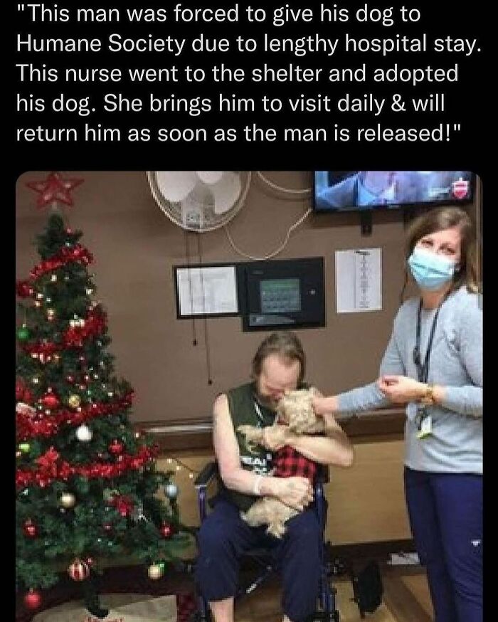 53 Funny And Cute Animal Memes To Bring Some Positivity To Your Day 53 Funny And Cute Animal Memes To Bring Some Positivity To Your Day