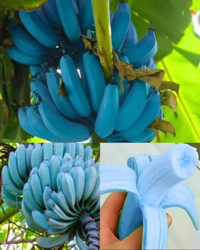 80 Of The Most Interesting Posts About “Existence, Reality, Or The Universe” 80 Of The Most Interesting Posts About “Existence, Reality, Or The Universe”