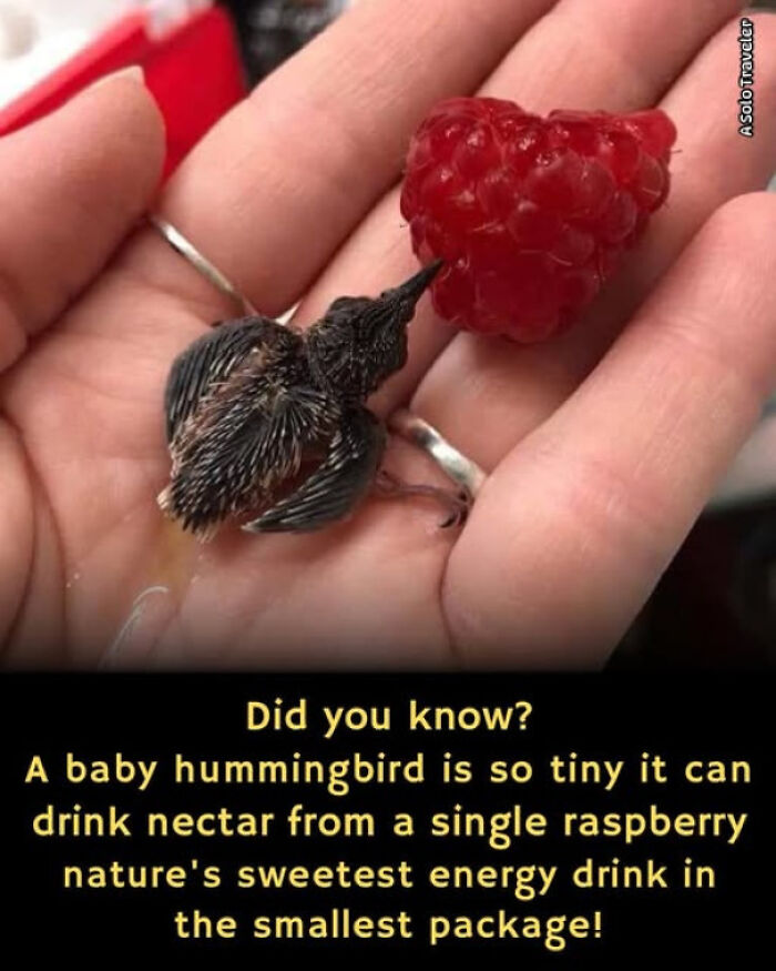 80 Of The Most Interesting Posts About “Existence, Reality, Or The Universe” 80 Of The Most Interesting Posts About “Existence, Reality, Or The Universe”