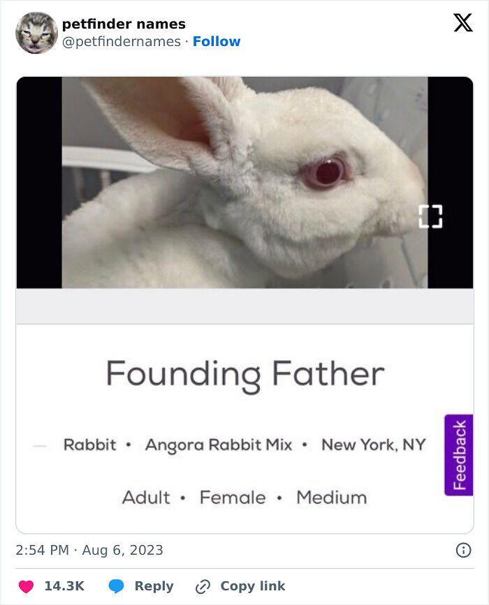 71 Hilarious Animal Names Found On ‘Petfinder’ That Take Creativity To A Whole New Level (New Pics) 71 Hilarious Animal Names Found On ‘Petfinder’ That Take Creativity To A Whole New Level (New Pics)