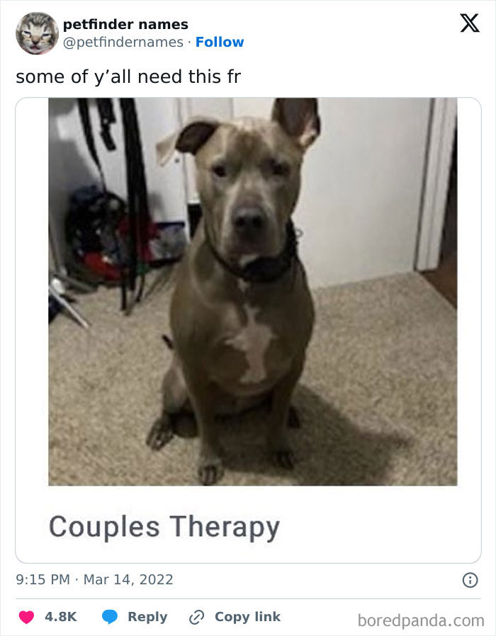 71 Hilarious Animal Names Found On ‘Petfinder’ That Take Creativity To A Whole New Level (New Pics) 71 Hilarious Animal Names Found On ‘Petfinder’ That Take Creativity To A Whole New Level (New Pics)