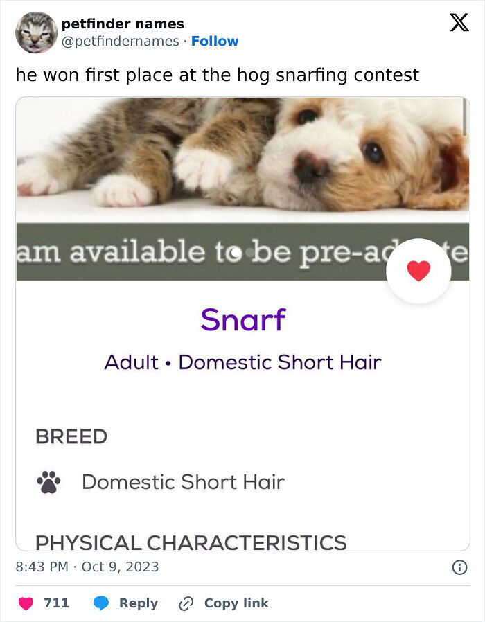 71 Hilarious Animal Names Found On ‘Petfinder’ That Take Creativity To A Whole New Level (New Pics) 71 Hilarious Animal Names Found On ‘Petfinder’ That Take Creativity To A Whole New Level (New Pics)