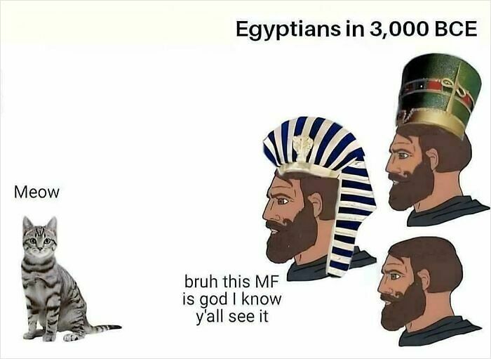 47 Memes You Can Look At During History Class And Still Learn Something Valuable (New Pics) 47 Memes You Can Look At During History Class And Still Learn Something Valuable (New Pics)