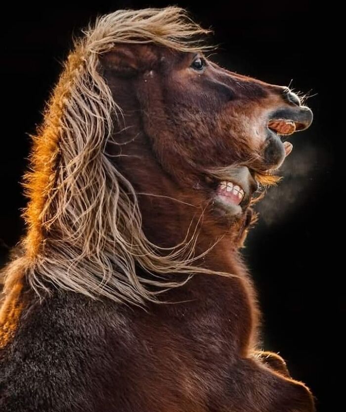 40 Incredible Wildlife Shots I Captured Without Fancy Gear Or Big Trips