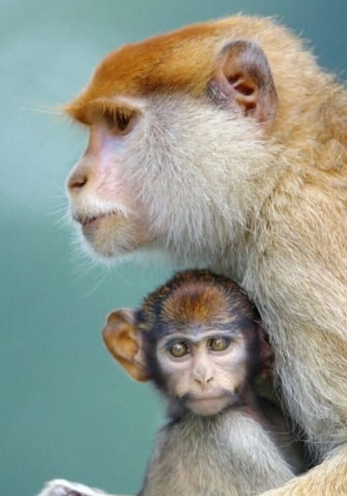 40 Incredible Wildlife Shots I Captured Without Fancy Gear Or Big Trips