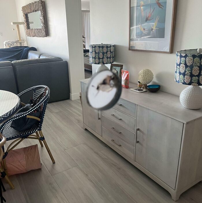 83 Photos So Confusing Your Brain Might Need A Moment To Catch Up 83 Photos So Confusing Your Brain Might Need A Moment To Catch Up