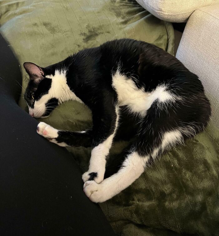 83 Photos So Confusing Your Brain Might Need A Moment To Catch Up 83 Photos So Confusing Your Brain Might Need A Moment To Catch Up