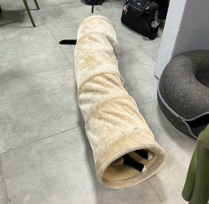 83 Photos So Confusing Your Brain Might Need A Moment To Catch Up 83 Photos So Confusing Your Brain Might Need A Moment To Catch Up