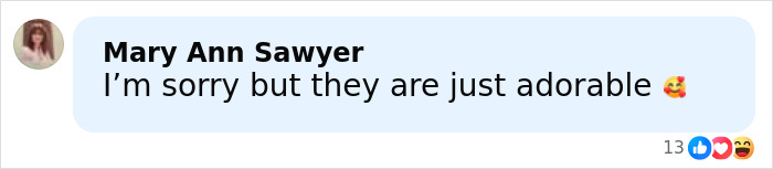 “What A Gentleman”: Timothée Chalamet’s Red Carpet Look With Kylie Jenner Roasted After Fans Notice Odd Detail “What A Gentleman”: Timothée Chalamet’s Red Carpet Look With Kylie Jenner Roasted After Fans Notice Odd Detail