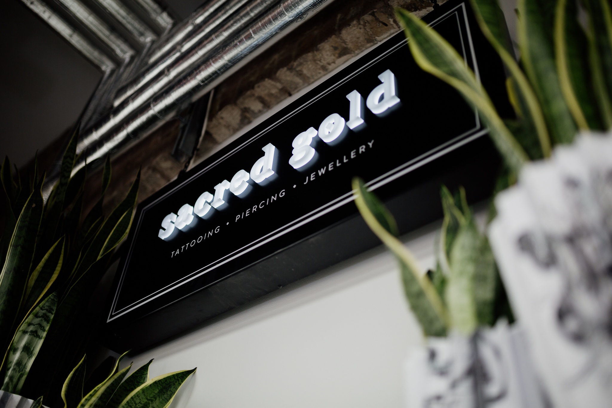 Our 8 Sacred Gold Artists Recall Their Most Unexpected And Totally Wild Experiences Our 8 Sacred Gold Artists Recall Their Most Unexpected And Totally Wild Experiences