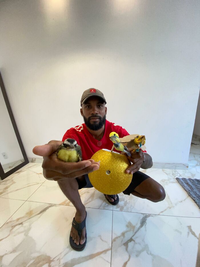 This Guy Went Viral After Rescuing A Great Kiskadee And Building A Mini Bird “Mom” For Him This Guy Went Viral After Rescuing A Great Kiskadee And Building A Mini Bird “Mom” For Him