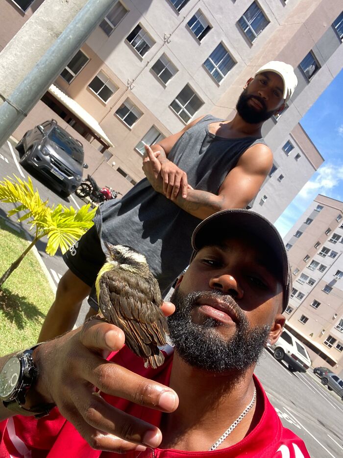 This Guy Went Viral After Rescuing A Great Kiskadee And Building A Mini Bird “Mom” For Him This Guy Went Viral After Rescuing A Great Kiskadee And Building A Mini Bird “Mom” For Him