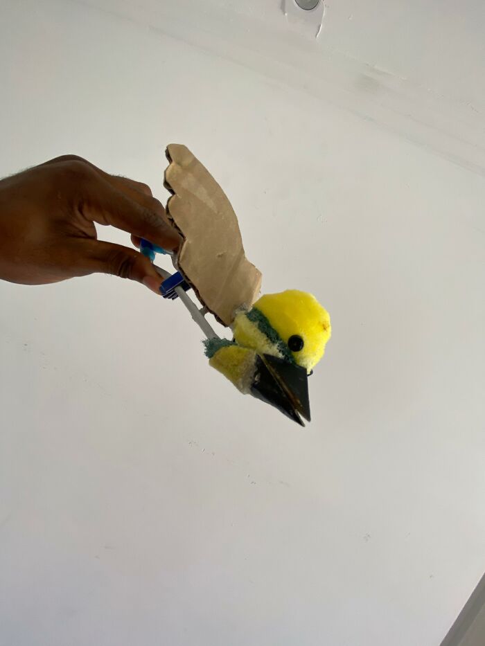 This Guy Went Viral After Rescuing A Great Kiskadee And Building A Mini Bird “Mom” For Him This Guy Went Viral After Rescuing A Great Kiskadee And Building A Mini Bird “Mom” For Him