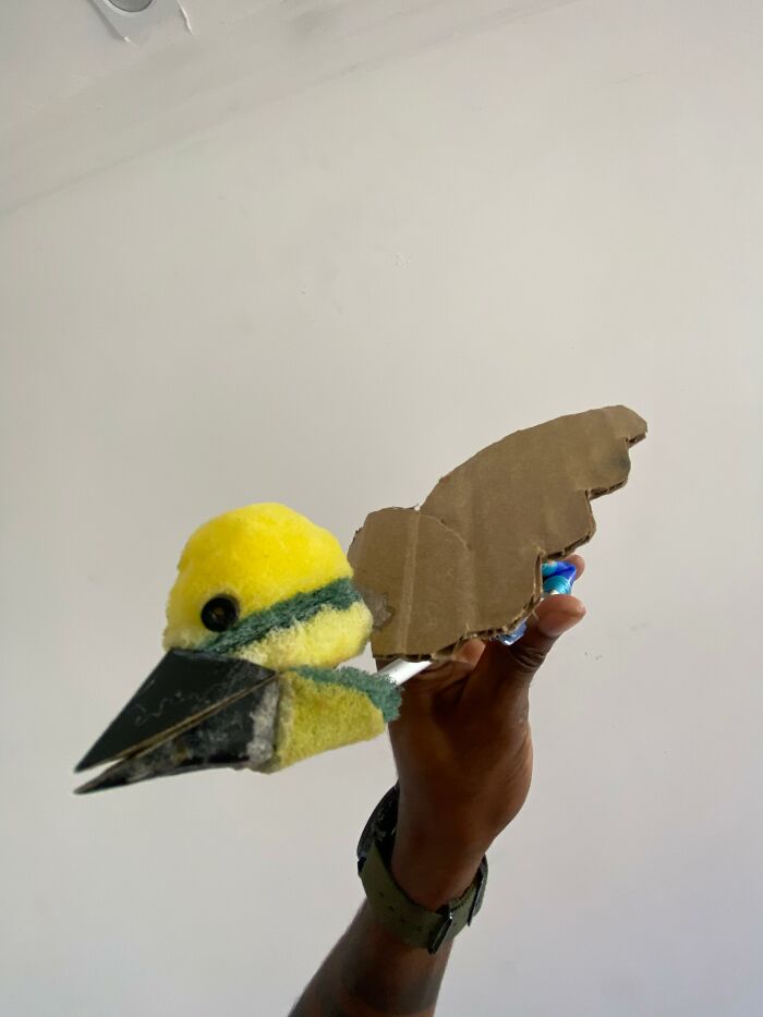 This Guy Went Viral After Rescuing A Great Kiskadee And Building A Mini Bird “Mom” For Him