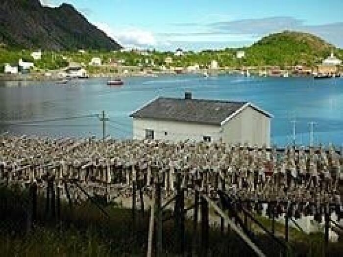 38 Region-Specific Inventions That Probably Wouldn’t Work Anywhere Else 38 Region-Specific Inventions That Probably Wouldn’t Work Anywhere Else