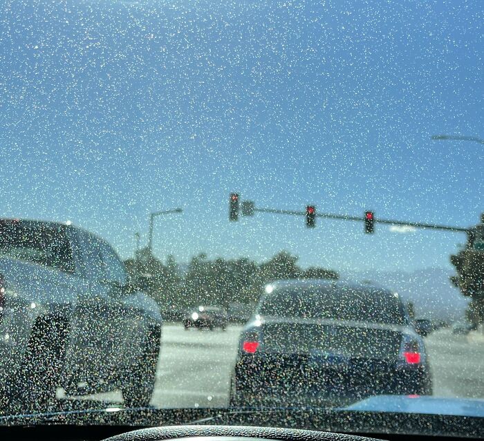 30 Crazy Things People Have Done That Make Them Believe Their Ex Will Always Pine For Them 30 Crazy Things People Have Done That Make Them Believe Their Ex Will Always Pine For Them