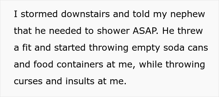 “Boys Will Be Boys”: Woman Doesn’t Stop Hubby Or Son’s Entitled Behavior, Sis Kicks Them Out “Boys Will Be Boys”: Woman Doesn’t Stop Hubby Or Son’s Entitled Behavior, Sis Kicks Them Out
