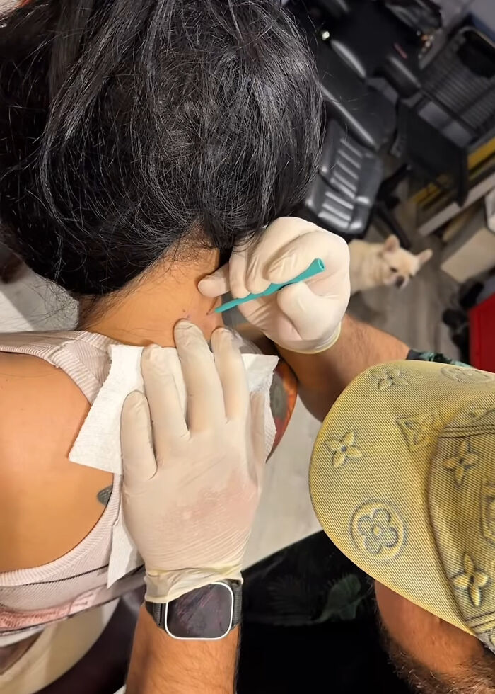 “So Gross”: Cardi B Slammed After Getting New Set Of Neck And Back Piercings