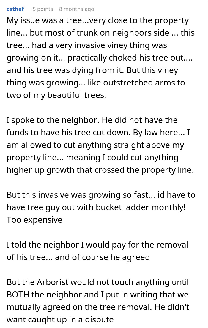 Man Refuses To Cough Up $2000 After Neighbor Replaces His Rotten Fence Without Any Agreement Man Refuses To Cough Up $2000 After Neighbor Replaces His Rotten Fence Without Any Agreement