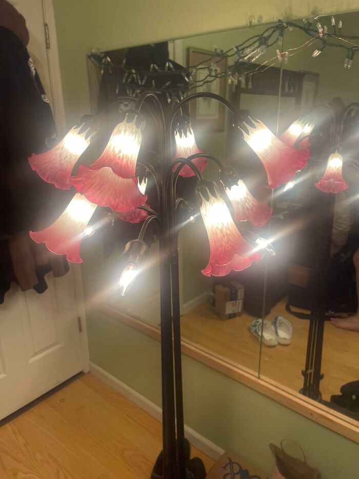 57 Times Secondhand Stores Delivered Cool, Unexpected Surprises 57 Times Secondhand Stores Delivered Cool, Unexpected Surprises