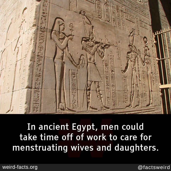 67 Fascinating And Amusing Fun Facts That Might Teach You Something New (New Pics) 67 Fascinating And Amusing Fun Facts That Might Teach You Something New (New Pics)