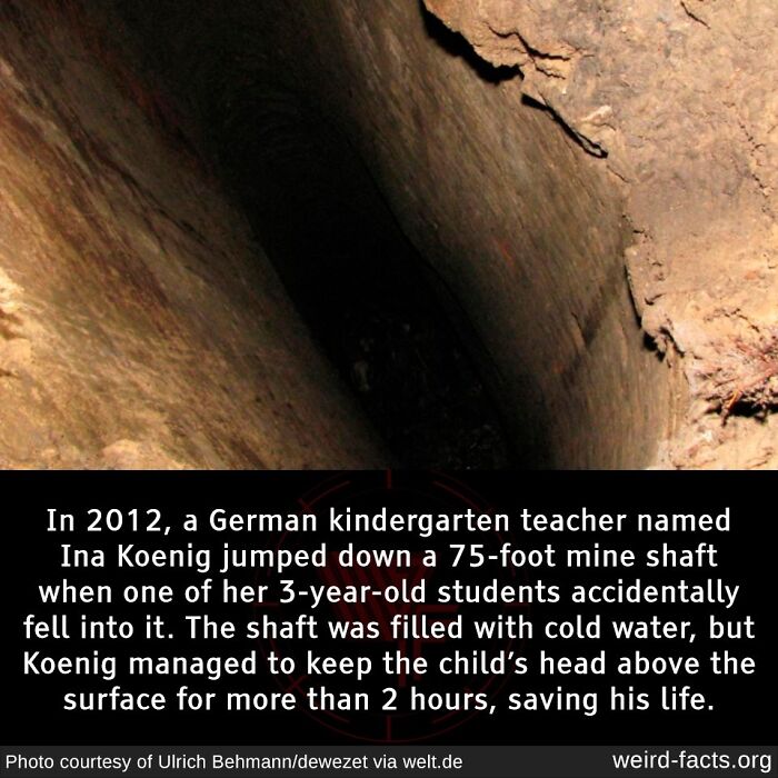 67 Fascinating And Amusing Fun Facts That Might Teach You Something New (New Pics) 67 Fascinating And Amusing Fun Facts That Might Teach You Something New (New Pics)